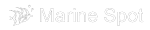 marine spot logo
